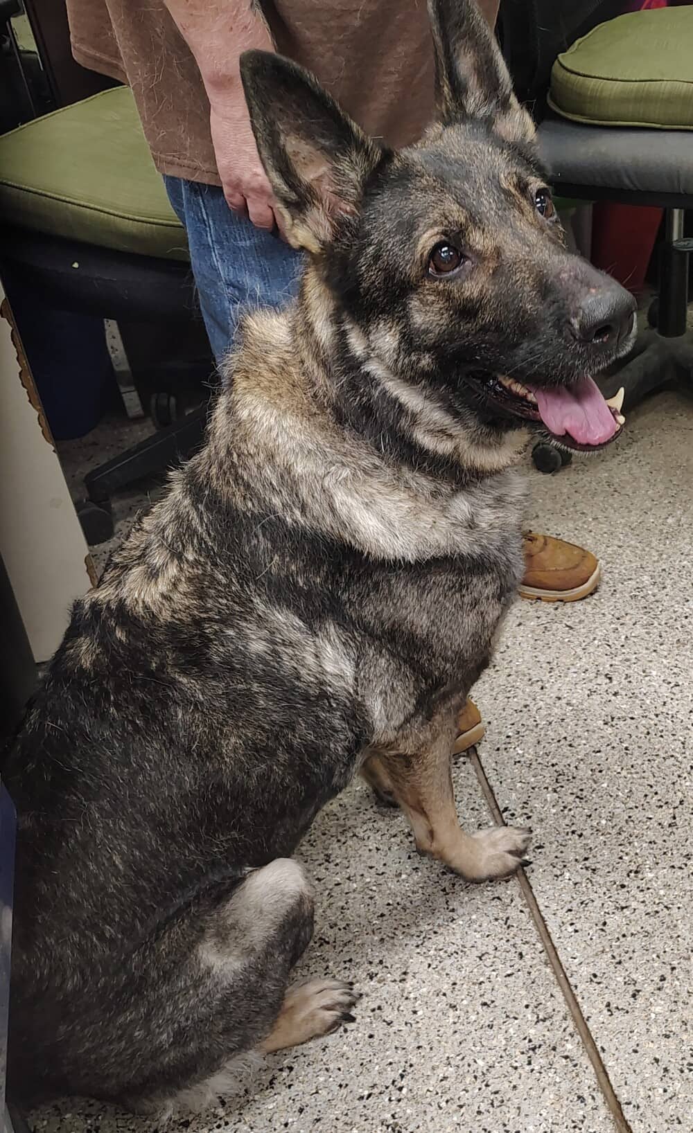 Loamy - Mixed Breed available for adoption at Redemption Paws in Toronto