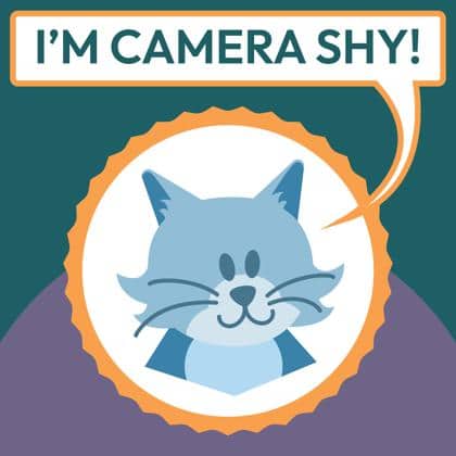 Sprinkles - Domestic Shorthair/Mix cat cat available for adoption at Calgary Humane Society in Calgary