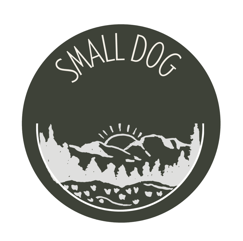 z West Coast Paws Generic Small Dog (<25 lbs) - Mixed Breed available for adoption