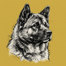 Akita