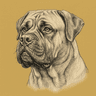 Bullmastiff