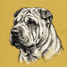 Chinese Shar-Pei