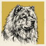 Chow Chow