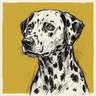 Dalmatian
