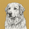 Great Pyrenees