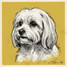 Maltese