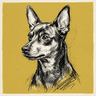 Miniature Pinscher