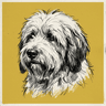 Old English Sheepdog