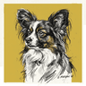 Papillon