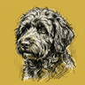 Portuguese Water Dog