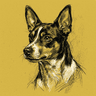Rat Terrier