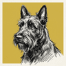 Scottish Terrier