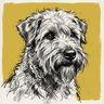 Soft-Coated Wheaten Terrier