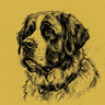 St. Bernard