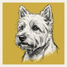 West Highland White Terrier