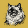 Birman