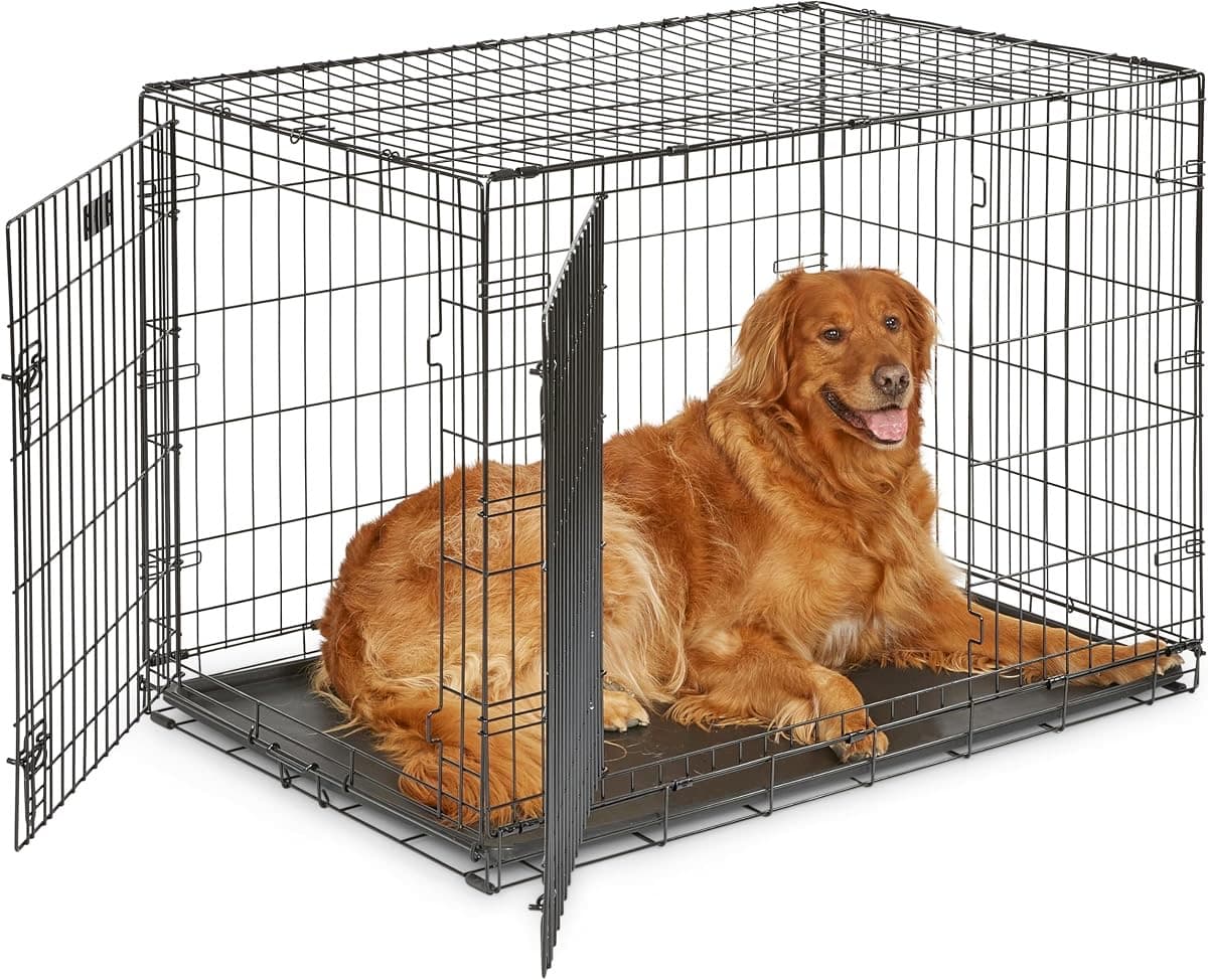 MidWest folding metal dog crate set up as a safe decompression den for a rescue dog