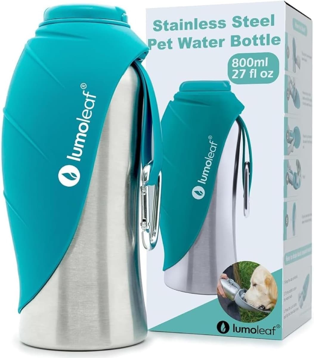 Travel Water Bottle