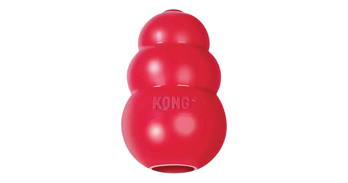 Classic Stuffable Chew Toy