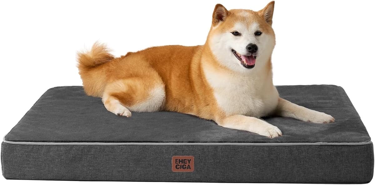 Orthopedic Dog Bed