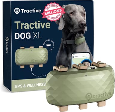 Tractive GPS tracker clipped to a dog collar