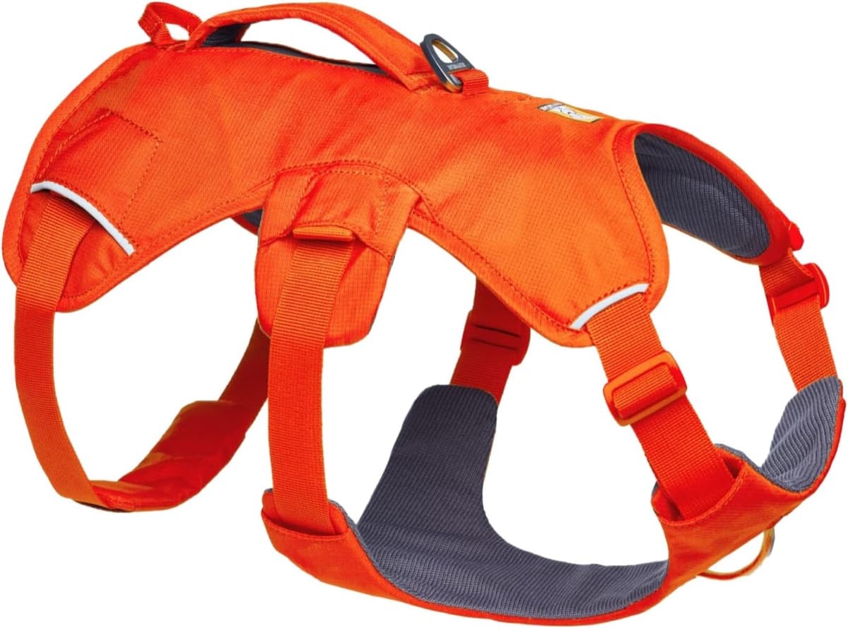 Escape-Proof No-Pull Harness