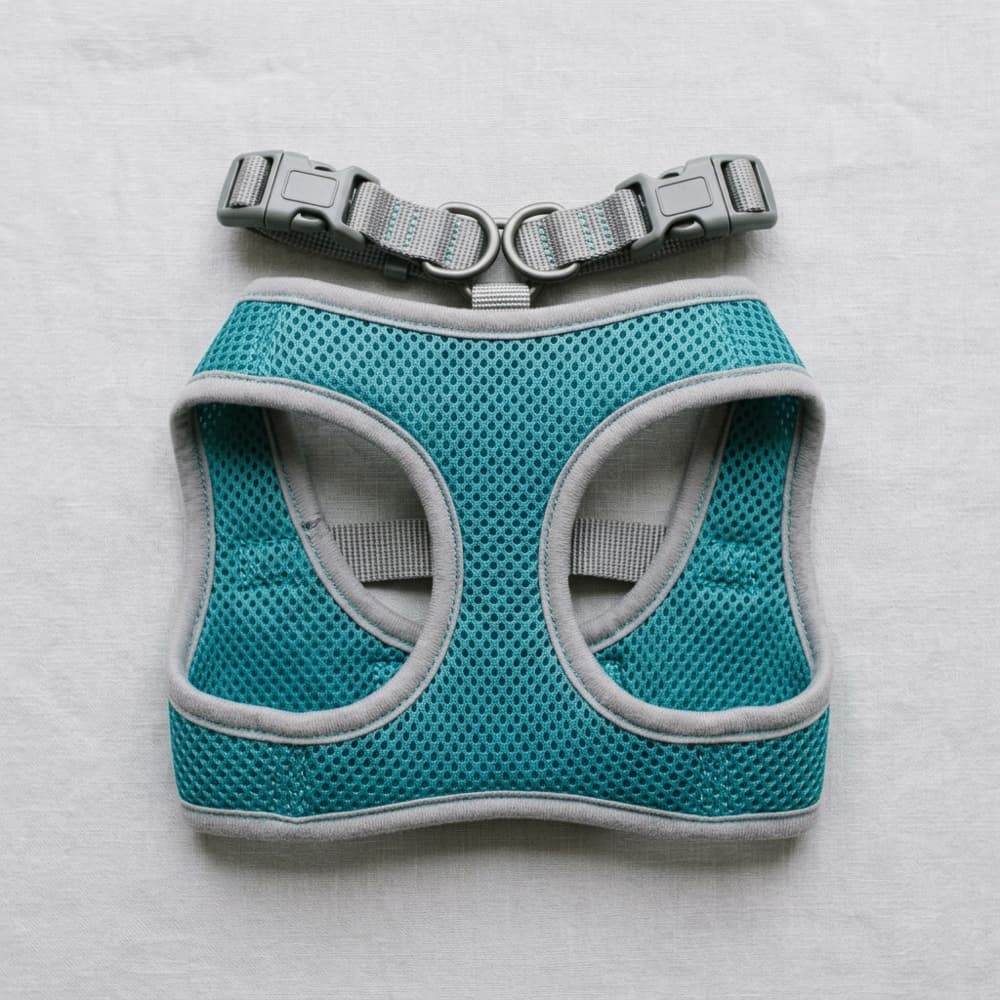 Lightweight Small-Dog Harness
