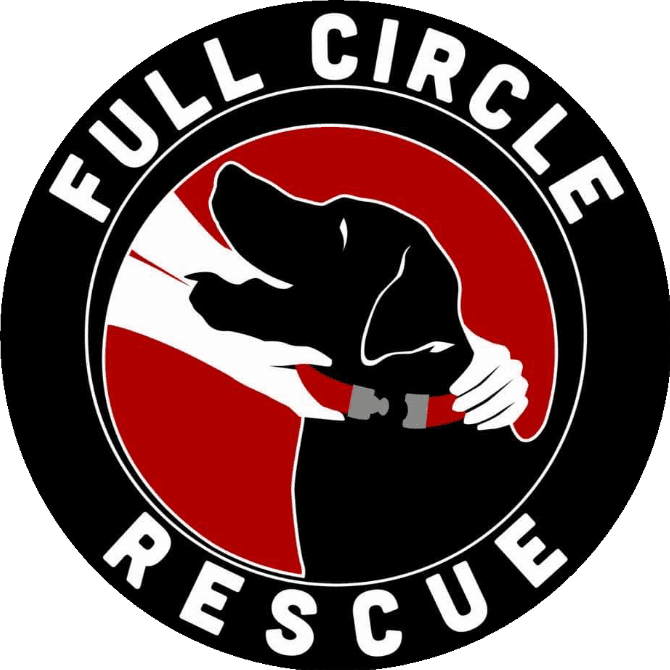Shanon - Mixed Breed available for adoption at Full Circle Rescue in Ontario