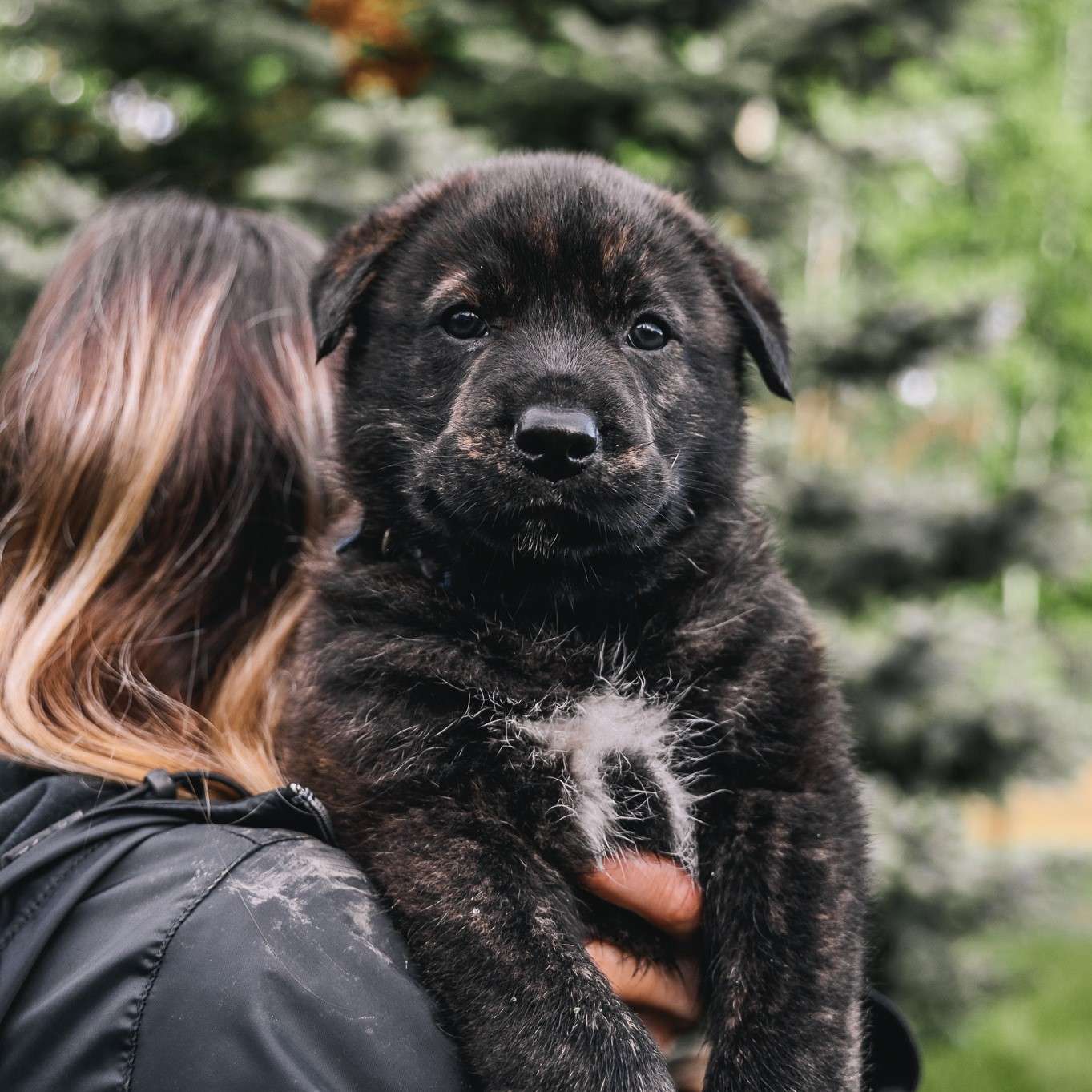 Akari Gussy - Mixed Breed available for adoption at Zoe's Animal Rescue in Calgary