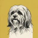 Lhasa Apso rescue dog illustration