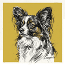 Papillon rescue dog illustration