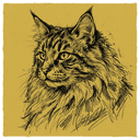 Norwegian Forest Cat rescue cat illustration
