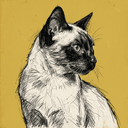 Siamese rescue cat illustration