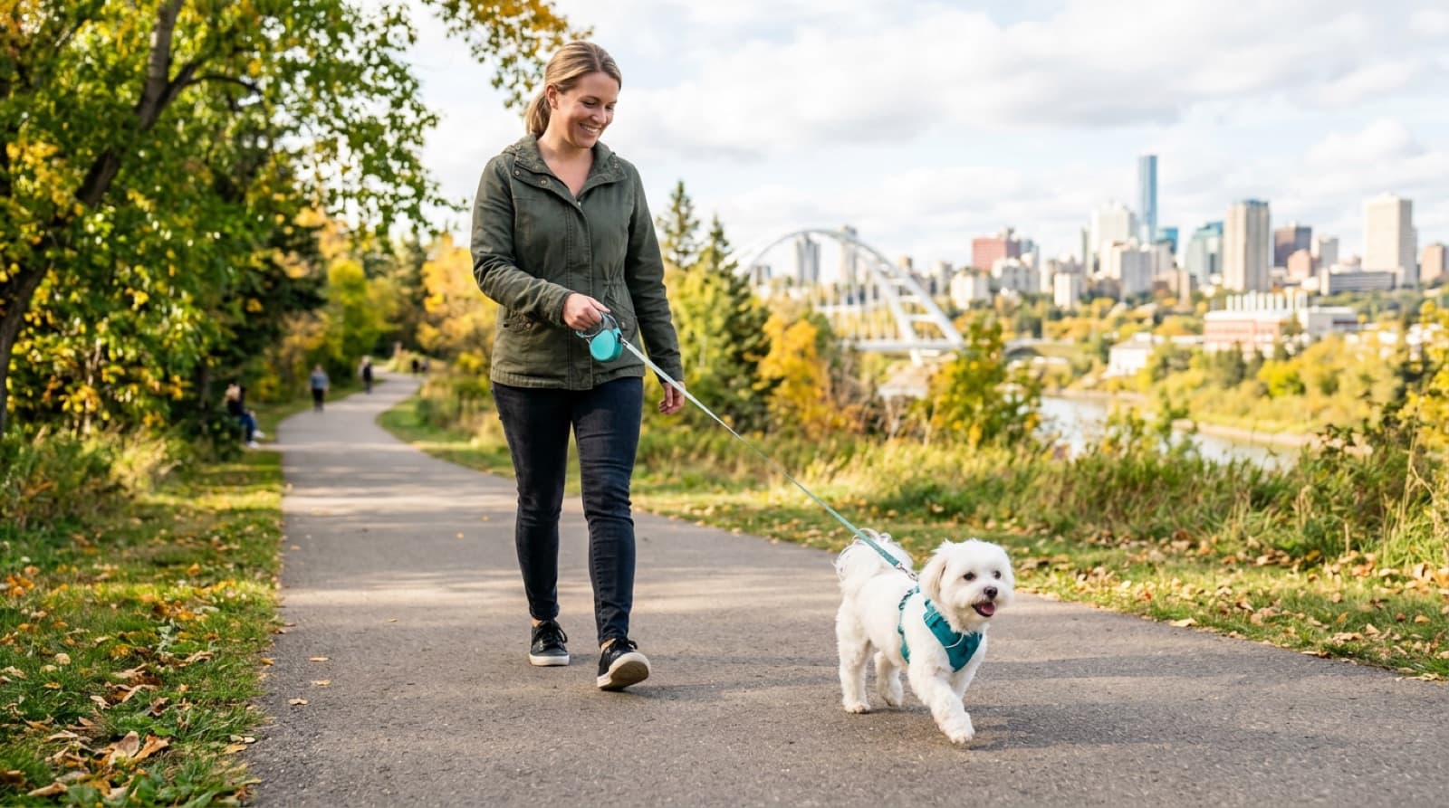 A small white Maltese walking happily on a harness rather than a neck collar with its owner in a bright Edmonton setting