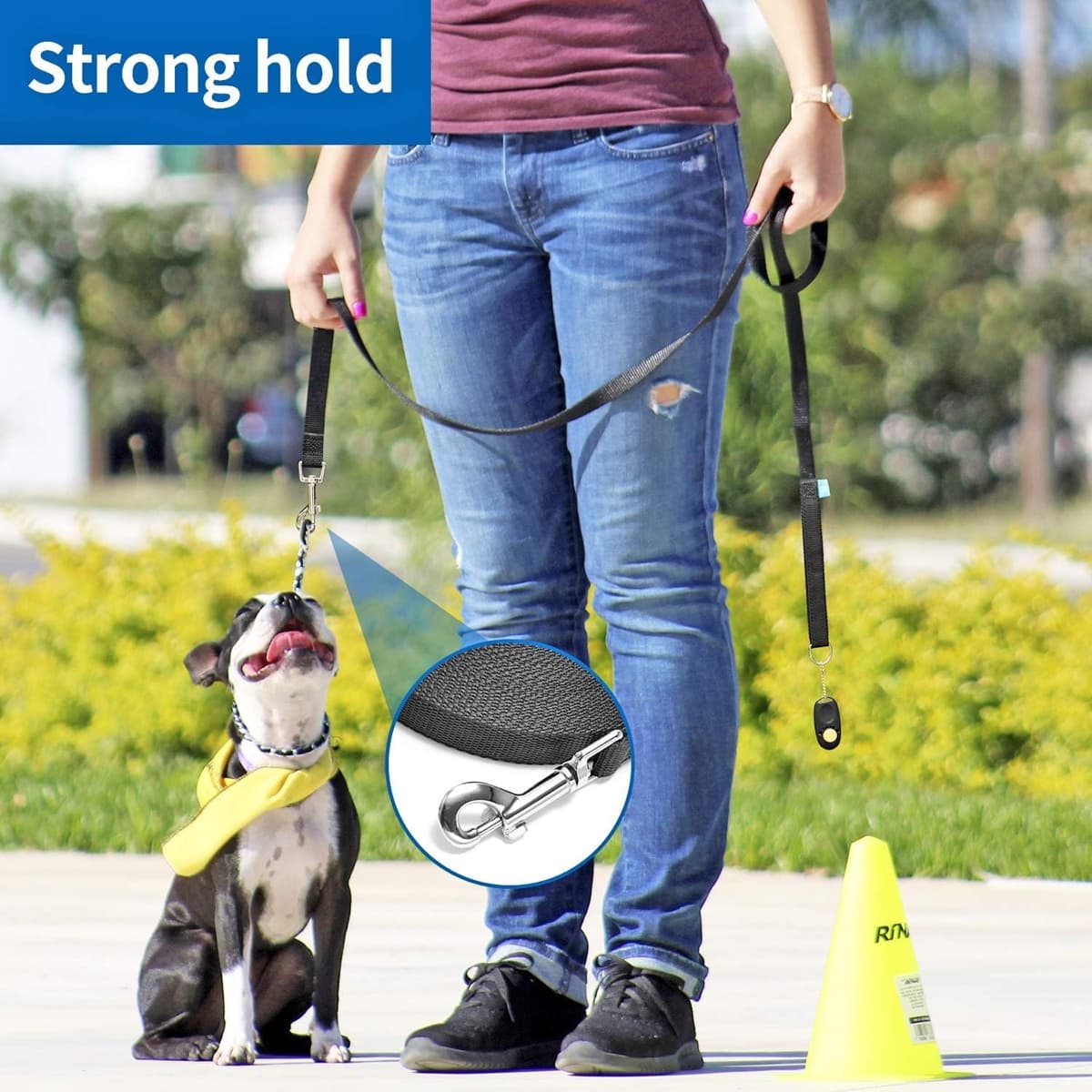 Dog practicing recall training on a BAAPET long training lead with clicker