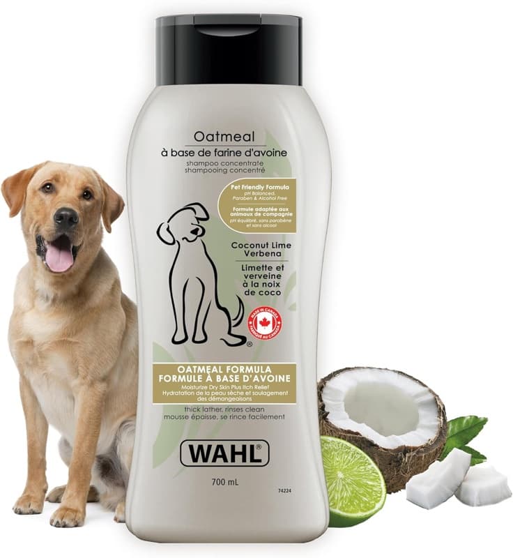 Oatmeal Dog Shampoo