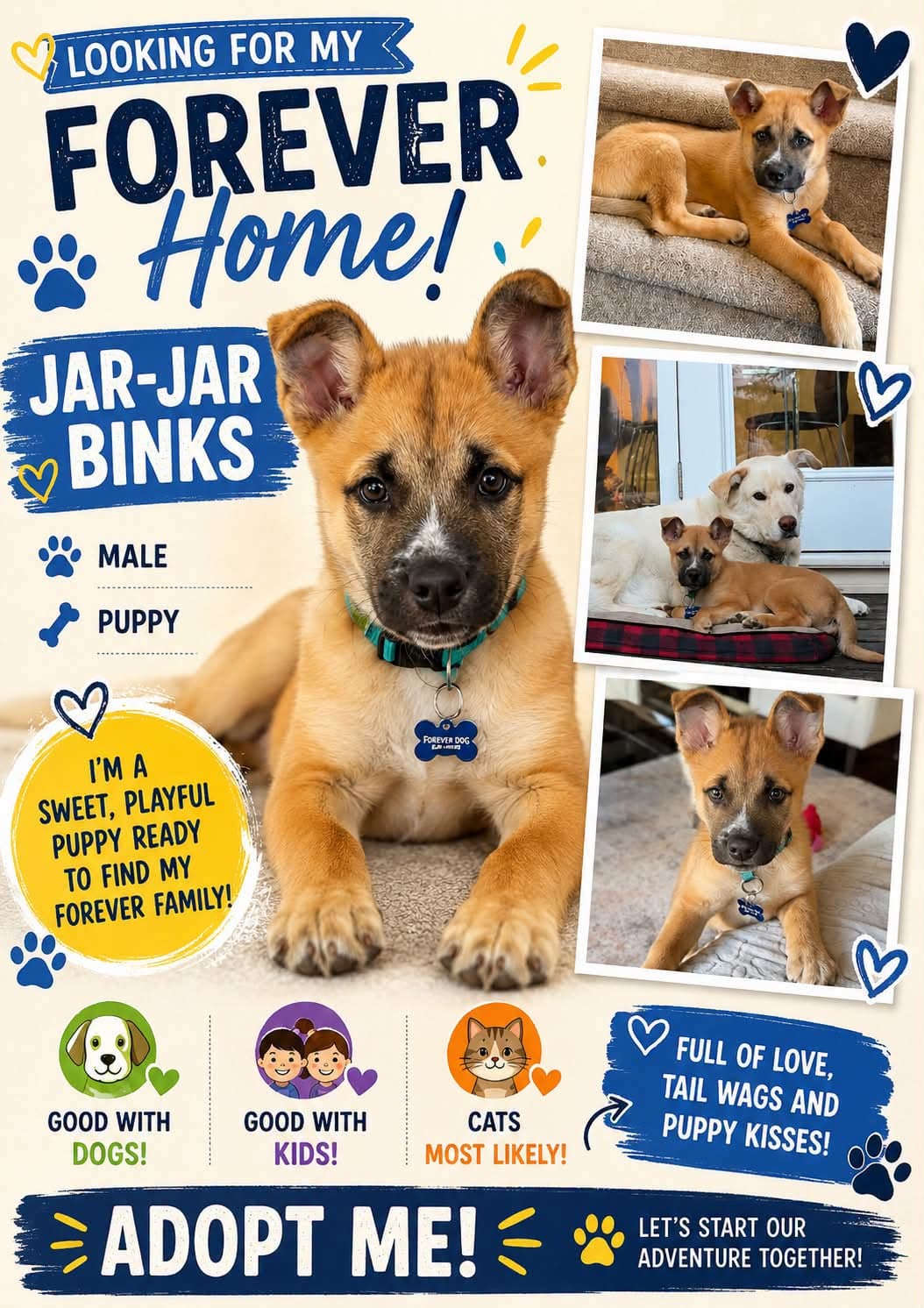 Jar-Jar Binks - Mixed available for adoption