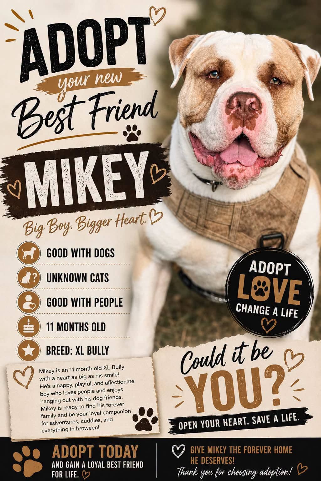 Mickey - pending a meet n greet - XL Bully available for adoption in Alberta