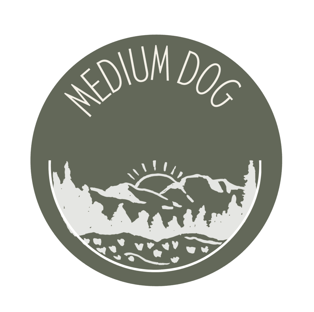 z West Coast Paws Generic Medium Dog (25-45 lbs) - Mixed Breed available for adoption in Calgary