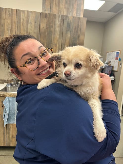 Leah - Mixed Breed available for adoption at Heaven Can Wait in Calgary