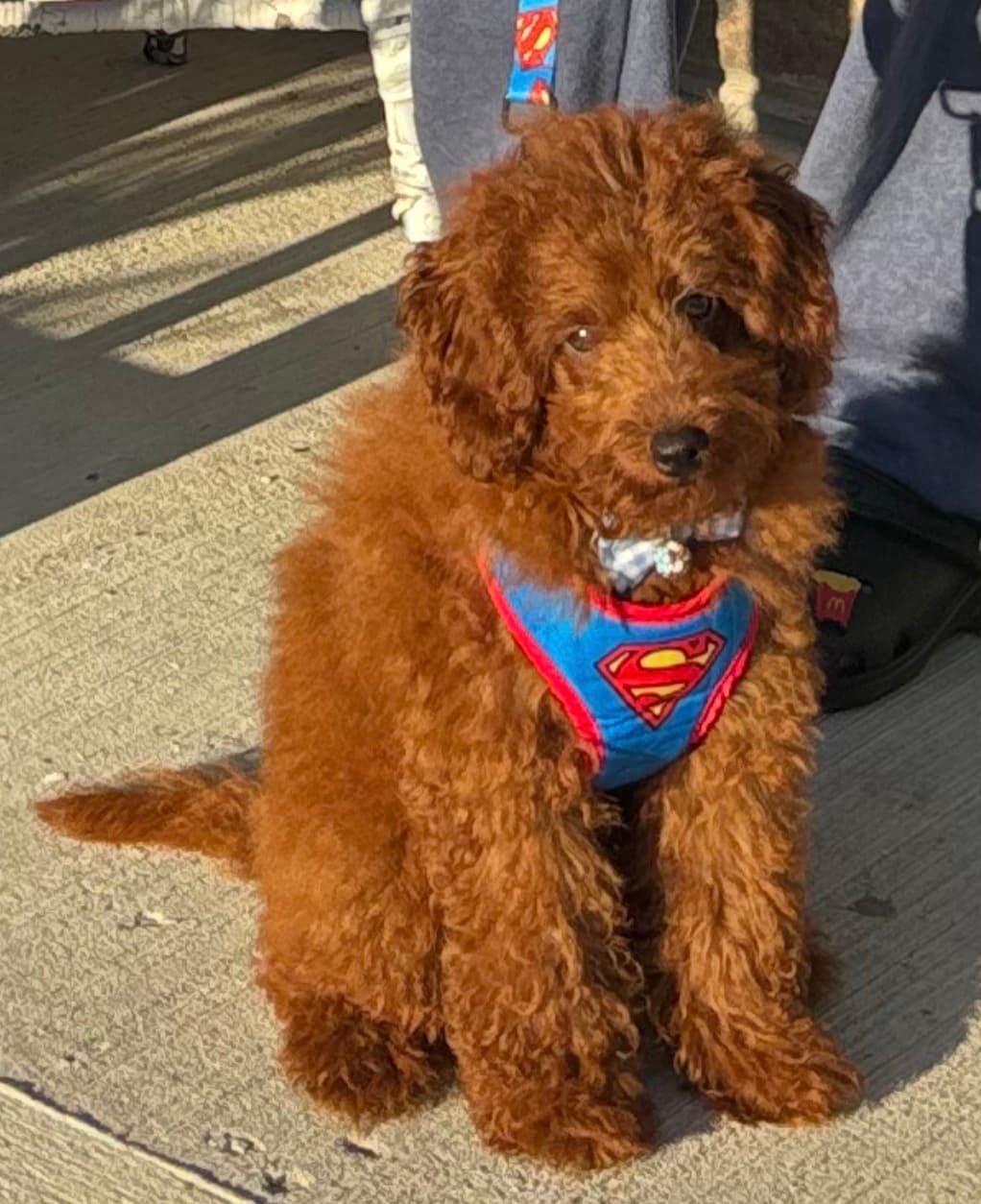 Leo
