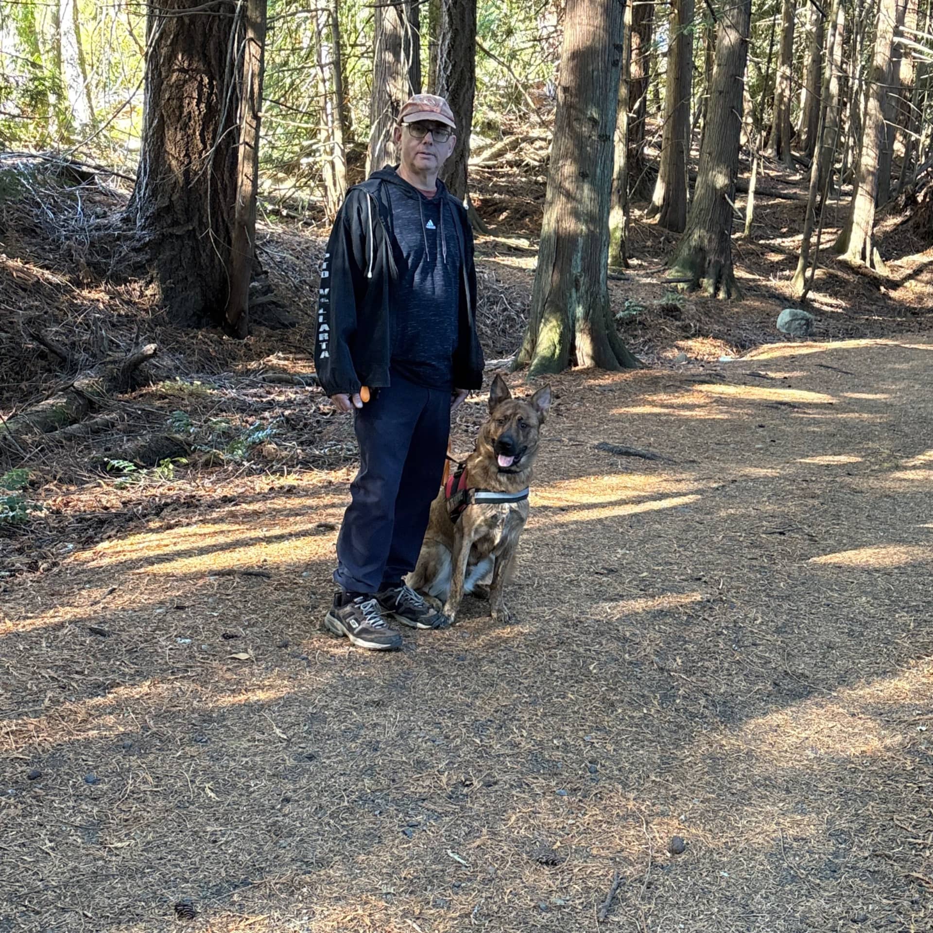 Teddy - Mixed Breed available for adoption at Owner Rehoming in Nanaimo (1 of 5)