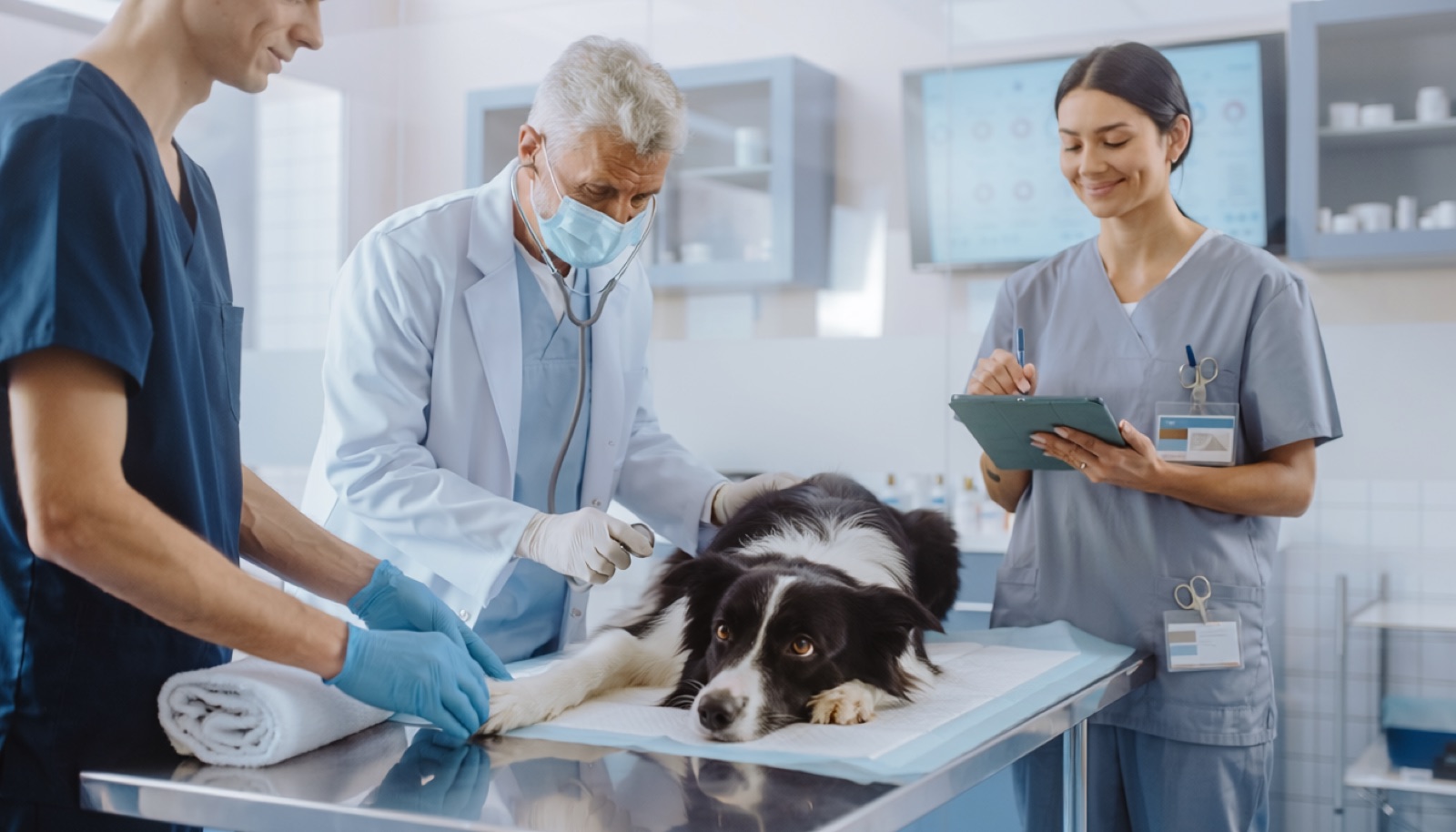 Owner arriving with a leashed dog at a veterinary emergency hospital entrance at night in Saskatoon Saskatchewan